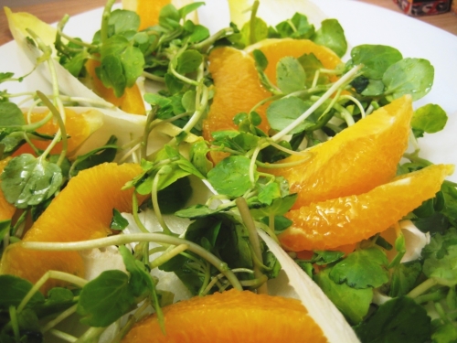 OxNosh Recipes - Chicory and Orange salad